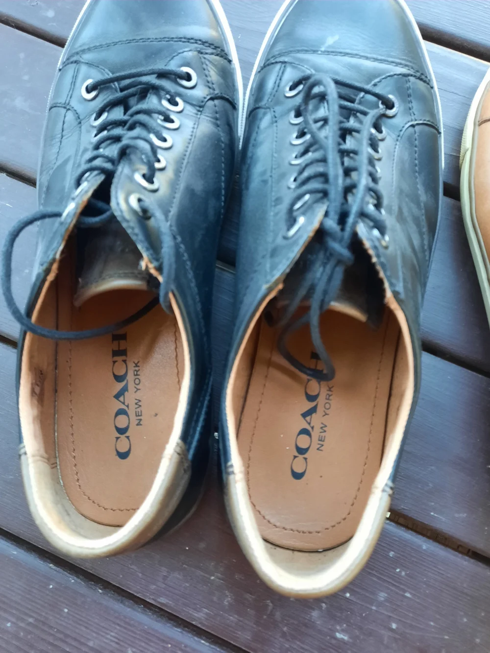 Coach Men's Casual Leather Sneakers - Black and Tan